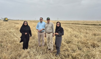 حضور میدانی رئیس مرکز تحقیقات خوزستان در مزارع گندم دشت آزادگان