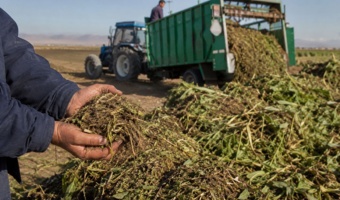 مدیریت ضایعات؛ تولید پنهان در کشاورزی برای تقویت امنیت غذایی
