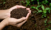 پژوهشگر خوزستانی هشدار داد: خاک حاصلخیز خوزستان در آستانه نابودی