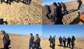 بازدید رئیس مرکز تحقیقات و آموزش کشاورزی و منابع طبیعی خوزستان از مزارع گندم شادگان و ماهشهر