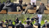 گسترش آفات در مزارع گندم و جو خوزستان/ تأکید بر پایش به‌موقع برای مقابله با زنگ زرد گندم