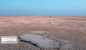 یک پژوهشگر: سرعت بیابان‌زایی در ایران بیش از میانگین جهانی است