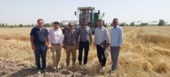 بررسی عملیات برداشت بذور پرورشی گندم و جو در ایستگاه تحقیقاتی شاوور
