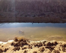 اهمیت مدیریت زهکشی در اراضی شور خوزستان