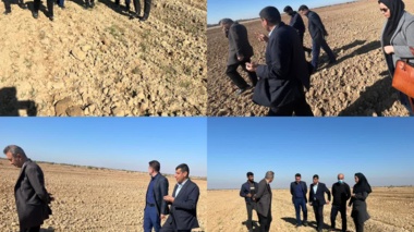 بازدید رئیس مرکز تحقیقات و آموزش کشاورزی و منابع طبیعی خوزستان از مزارع گندم شادگان و ماهشهر