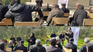 گسترش آفات در مزارع گندم و جو خوزستان/ تأکید بر پایش به‌موقع برای مقابله با زنگ زرد گندم
