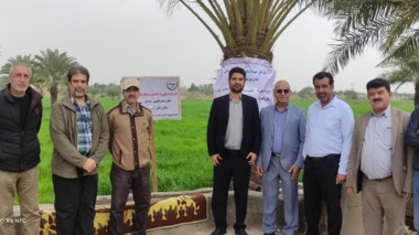 کارگاه ترویجی دستیابی به پتانسیل عملکرد گندم در خرمشهر برگزار شد