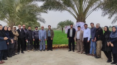کارگاه آموزشی مدیریت آبیاری مزارع در خرمشهر برگزار شد