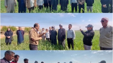 انتقال دانش به عرصه های تولید تحت شرایط جنگی، حرکت در راستای امنیت و اقتدار غذایی