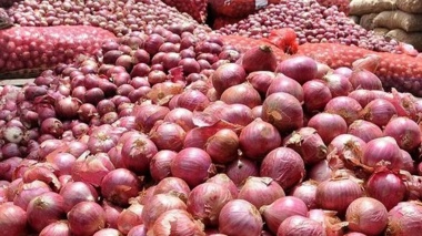نسخه علمی پژوهشگر خوزستانی در برابر بیماری سفیدک دروغی پیاز
