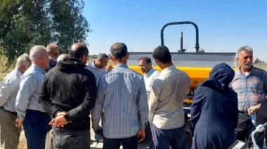 برداشت زودهنگام گندم، تلفات را افزایش می‌دهد