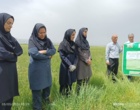 روز انتقال یافته‌های تحقیقاتب «مبارزه با عوامل خسارت‌زای مزارع گندم؛ سن غلات و بیماری زنگ زرد»
