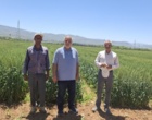 توسعه تحقیقات کاربردی؛ راهبردی مؤثر برای افزایش بهره‌وری کشاورزی در لرستان