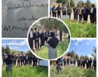 برگزاری روز مزرعه «مدیریت علف‌های هرز در مزارع غلات»