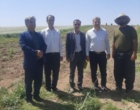 برداشت موفق کشت آبی موسیر در روستای چنارحمام خرم‌آباد