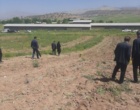 برداشت موفق کشت آبی موسیر در روستای چنارحمام خرم‌آباد