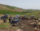 الگوی عملیاتی «جهاد خدمت» در زیست‌بوم عشایری بروجرد با محوریت ارتقای سلامت و تاب‌آوری اقتصادی