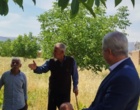 برگزاری رویداد آموزشی - ترویجی روز مزرعه با حضور محققین در شهرستان خرم‌آباد
