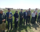 پیوند دانش و مزرعه در روز مزرعه کشت باقلای بروجرد