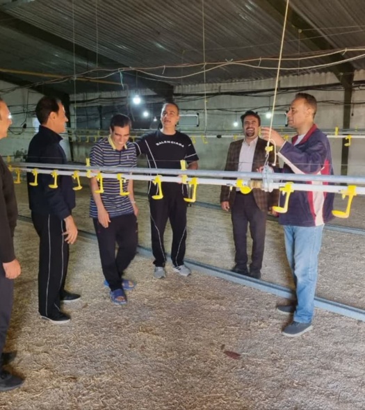 انتقال دانش فنی و اقتصادی به مزارع پرورش جوجه گوشتی در لرستان