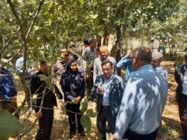 باغ گیاه شناسی زاگرس زیربنای حفاظت از سرمایه های سبز لرستان