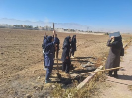 اجرای عملیات آماده‌سازی زمین در درس کاشت گیاهان زراعی