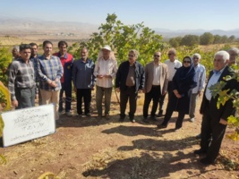 برگزاری دوره‌‌های مهارتی با موضوع (( شناسایی و مدیریت عوامل خسارتزای درختان انار )) و (( تغذیه درختان انار ))