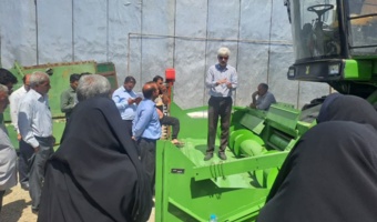 تنظیم دقیق کمباین و حذف گاوآهن برگرداندار، دو راهبرد علمی برای کاهش ضایعات و پایداری زراعت دیم