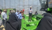 تنظیم دقیق کمباین و حذف گاوآهن برگرداندار، دو راهبرد علمی برای کاهش ضایعات و پایداری زراعت دیم