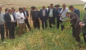 برگزاری دوره آموزش عملی کارشناسان و بهره‌برداران شهرستان خرم‌آباد