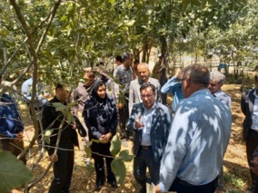 باغ گیاه شناسی زاگرس زیربنای حفاظت از سرمایه های سبز لرستان