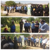 گردهمایی استانی تیم یاوران تولید برای مقابله با آفت زنجره مو در لرستان برگزار شد