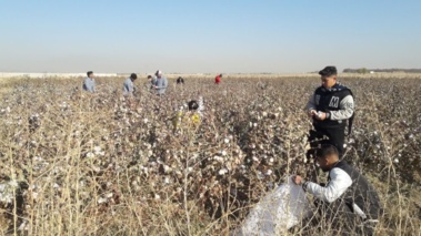 پنبه‌های سفید در دستان تلاشگر دانش‌آموزان بروجردی