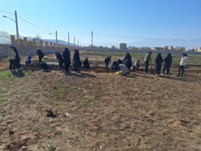 اجرای عملیات درس کشت موسیر توسط هنرجویان پایه دوازدهم در پردیس شهید زارع الیگودرز