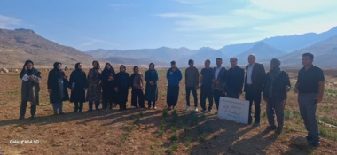 برگزاری روز مزرعه «تغذیه زعفران پس از برداشت» در آبستان خرم‌آباد