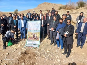 تقویت پایداری اکوسیستم‌های محلی با کاشت گونه‌های بومی در ده‌پیر خرم‌آباد