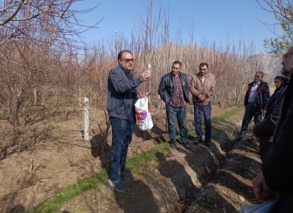 برگزاری روز مزرعه «مدیریت علمی هرس باغات»