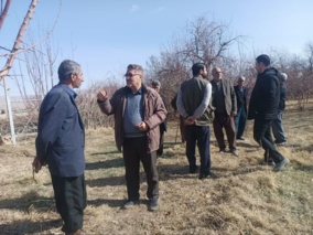 برگزاری دوره تخصصی "کنترل زمستانه عوامل خسارت‌زا" و "تغذیه اصولی باغات" در مرکز جهاد کشاورزی دیناروند شهرستان خرم‌آباد