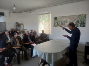 پیوند دانشگاه و مزرعه با آموزش‌های کاربردی؛ برگزاری دوره کاشت چغندر قند در شیروان شهرستان بروجرد