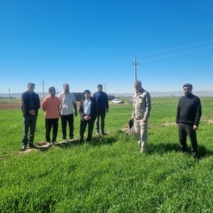 با آغاز پایش میدانی مزارع بذری گندم، وضعیت سطح سبز در شهرستان کوهدشت مطلوب ارزیابی شد