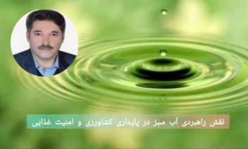 نقش راهبردی آب سبز در پایداری کشاورزی و امنیت غذایی؛ محور پژوهش‌های جدید بخش تحقیقات خاک و آب مرکز تات لرستان