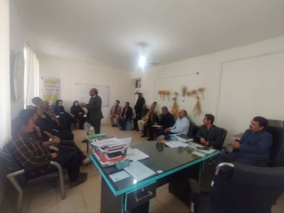 افزایش بهره‌وری کشت کلزا در گرو آموزش‌های میدانی و علمی