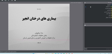 برگزاری دوره وبیناری بیماری‌های درختان انجیر در لرستان