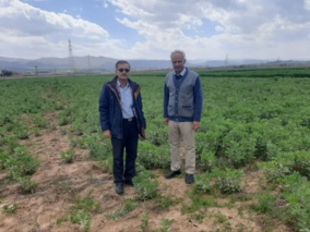 پایداری پروژه‌های تحقیقاتی سراب چنگایی با حضور فعال مدیران و پایش دقیق مزارع