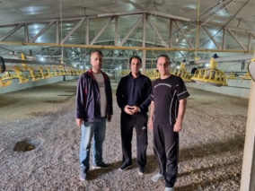 چتر علمی و اقتصادی محققان تات بر فراز طرح‌های دام و طیور استان