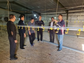 انتقال دانش فنی و اقتصادی به مزارع پرورش جوجه گوشتی در لرستان