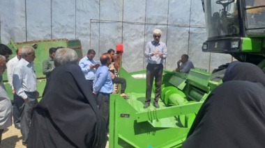 تنظیم دقیق کمباین و حذف گاوآهن برگرداندار، دو راهبرد علمی برای کاهش ضایعات و پایداری زراعت دیم