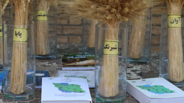 عملکرد مرکز