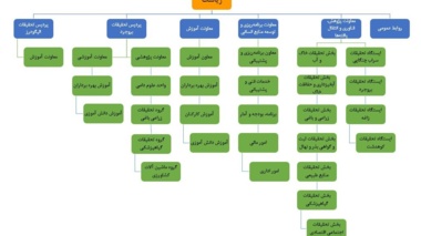 نمودار سازمانی
