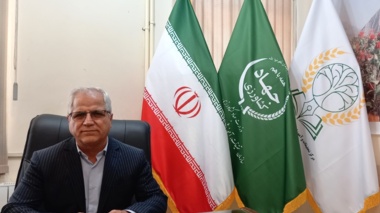 معاونت برنامه ریزی و توسعه منابع انسانی